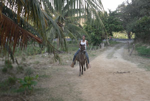 Roatan Horseback Riding and Beach Break